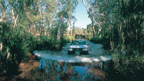Tjaynera Falls (Sandy Creek) - ACT Tourism 1