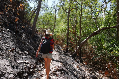 Tjaynera Falls (Sandy Creek) - ACT Tourism 2