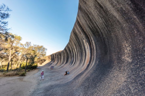 Wave Rock Wildflower Trail - ACT Tourism 0
