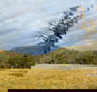 Weddin Mountains National Park - ACT Tourism