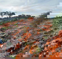 Western Ridge Walk - ACT Tourism