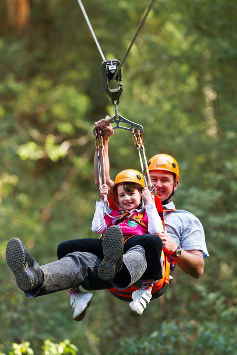 Zipline At Illawarra Fly - ACT Tourism 0