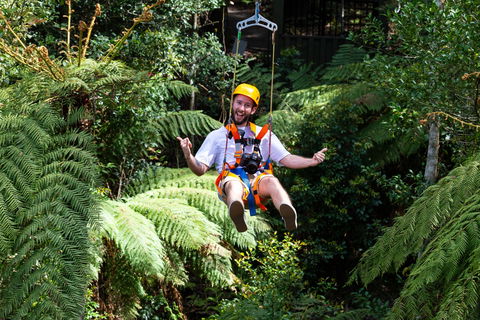 Zipline At Illawarra Fly - ACT Tourism 2