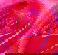 Abandon Stress Mobile Massage - ACT Tourism