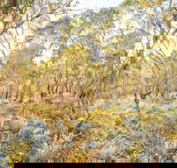 Alpine Views Walk - ACT Tourism