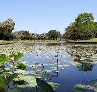 Anderson Park Botanic Gardens - ACT Tourism