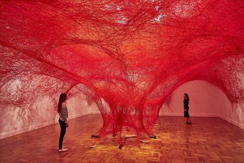 Art Gallery Of South Australia - ACT Tourism 0