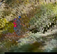 Australian Arid Lands Botanic Garden - ACT Tourism