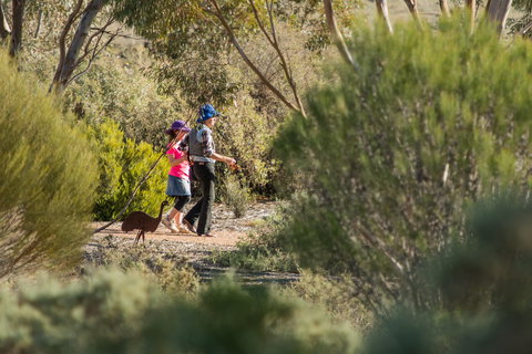 Australian Arid Lands Botanic Garden - ACT Tourism 0