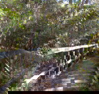 Awaba Bay Foreshore Walk - ACT Tourism