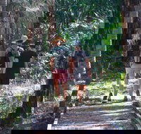 Banksia Track Burrum Coast National Park - ACT Tourism