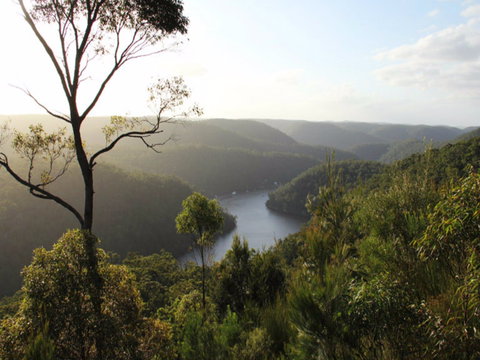 Berowra Valley National Park - ACT Tourism 0