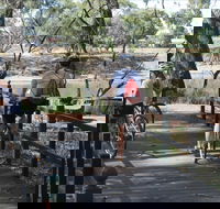 Bidgee Riverside Trail  - Hay Nature Walk - ACT Tourism
