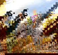 Billabong Ranch Adventure Park - ACT Tourism