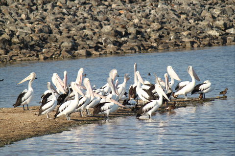 Bjelke-Petersen Dam - ACT Tourism 2