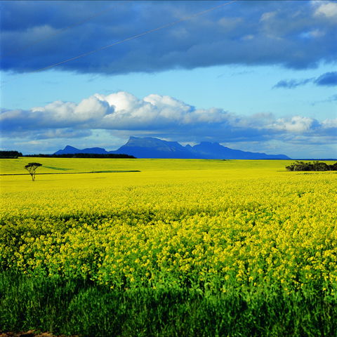 Borden - ACT Tourism 0