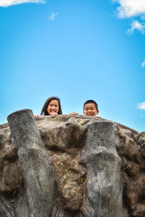 Brimbank Park - ACT Tourism 1