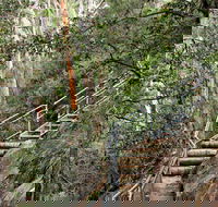 Caleys Lookout Track - ACT Tourism