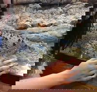 Canberra Reptile Zoo - ACT Tourism