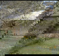 Castlemaine Diggings National Heritage Park - ACT Tourism