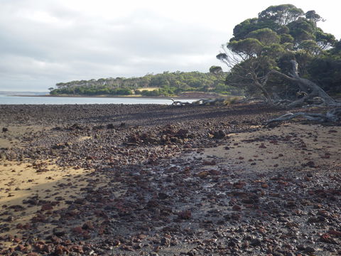 Churchill Island Marine National Park - ACT Tourism 0