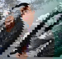 Cleland Wildlife Park - Koala Hold - ACT Tourism