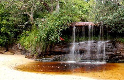 Collins Flat Beach - ACT Tourism 0