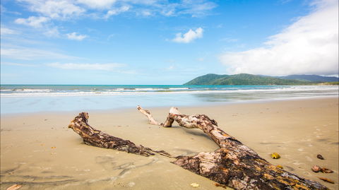Cow Bay - ACT Tourism 0