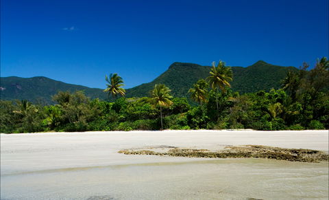 Cow Bay - ACT Tourism 1