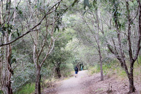 D'Aguilar National Park - ACT Tourism 2