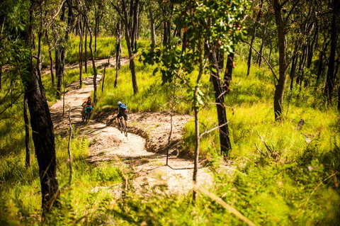 Davies Creek Mountain Bike Park - ACT Tourism 2