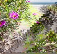 Fort Bribie - ACT Tourism