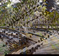 Governor Summit Corrunbral Borawah Walking Track - ACT Tourism