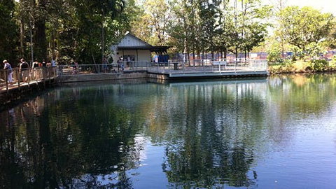 Howard Springs Nature Park - ACT Tourism 1