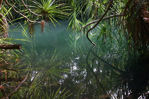 Howard Springs Nature Park - ACT Tourism 2