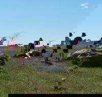 Jim Salmon  Wetland Education Site - ACT Tourism