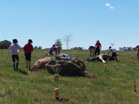 Jim Salmon  Wetland Education Site - ACT Tourism 0