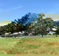 Leacock Picnic Area - ACT Tourism