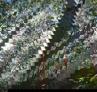 Leeuwin-Naturaliste National Park - Leeuwin - ACT Tourism