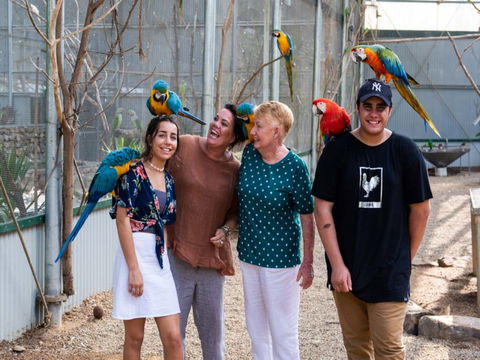 Maleny Botanic Gardens And Bird World - ACT Tourism 0