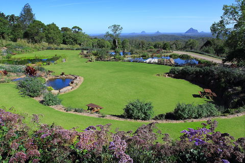 Maleny Botanic Gardens And Bird World - ACT Tourism 2