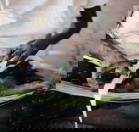 Marrawuddi Gallery - ACT Tourism