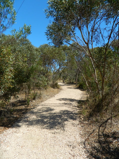 Meningie Lions Walking Trail - ACT Tourism 2