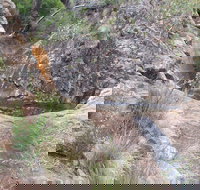 Mill-bullah Walking Track - ACT Tourism