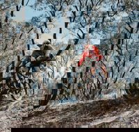 Mountain Bike Trails Deniliquin - ACT Tourism