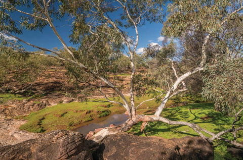 Mount Grenfell Historic Site - ACT Tourism 0