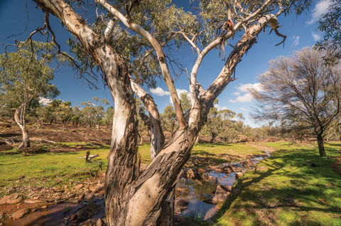 Mount Grenfell Historic Site - ACT Tourism 2