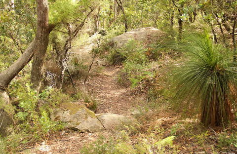Mount Carnarvon Walking Track - ACT Tourism 0
