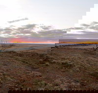 Mundi Mundi Plains - ACT Tourism