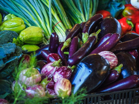 Murwillumbah Farmers' Market - ACT Tourism 1